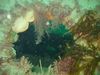original porthole.jpg